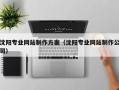 西藏沈阳专业网站制作方案（沈阳专业网站制作公司）