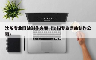 西藏沈阳专业网站制作方案（沈阳专业网站制作公司）